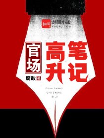 官路高升笔记未删减版TXT