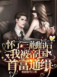 我被帝国首富通缉免费版