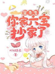 宫先生你家六宝抄家了完整版