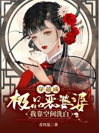 穿越之我成了极品婆婆