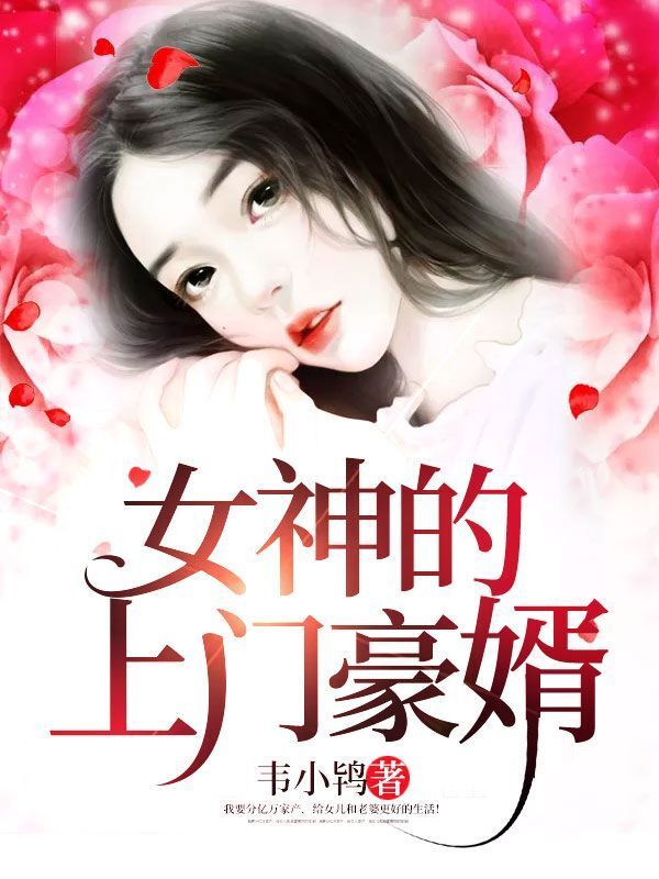 女神的上门豪婿免费收听