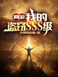 网游我的盗窃sss级全文阅读