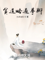 贫道略通拳脚TXT全本