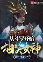 从斗罗开始抽奖女神 影小姐姐