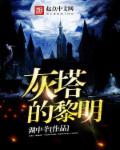 灰塔的黎明无弹窗