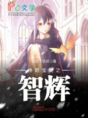 神奇宝贝之智辉免费阅读全文