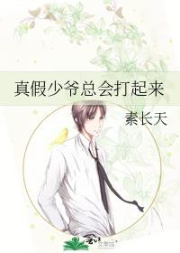 真假少爷总会打起来晋江