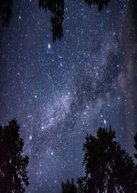 星际abo绝对吸引