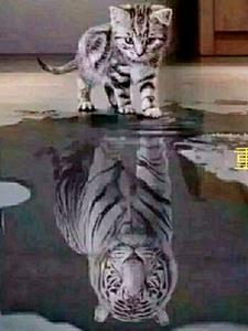 重生之远见 七零小破车