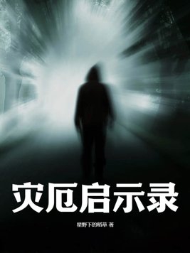 灾厄启示录武器印记搭配