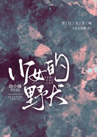 少女的野犬免费阅读福利番外