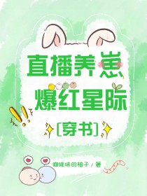 爆红星际txt