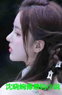 傅景明沈怀妆全文免费阅读女商