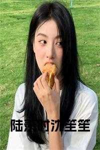 女主陆笙的