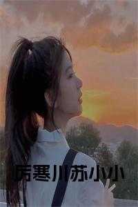 主人公厉衍深和苏暖暖