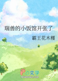 瑞兽礼盒