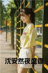 女主沈安然夜盛霆