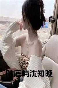 沈知昼晚晚免费阅读