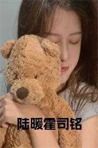 陆暖霍司铭的三百一十八
