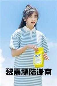 女主叫黎嘉男主陆逸尘