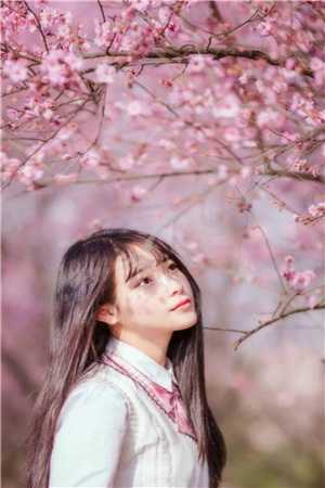 陈向阳孟婉婷周