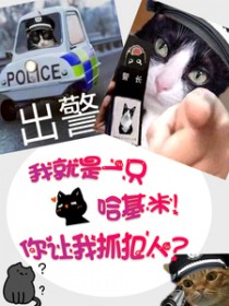 我就是只哈基米!你让我抓犯人?的作者高伟的其他作品