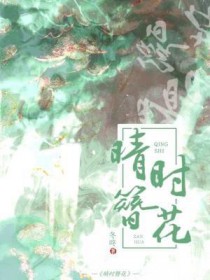 晴时簪花讲的什么
