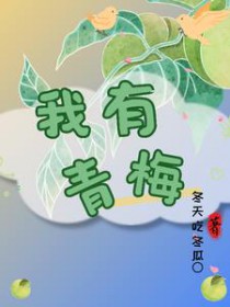 我有青梅TXT