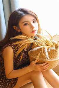 顾锋叶宁穿越军婚军婚甜宠