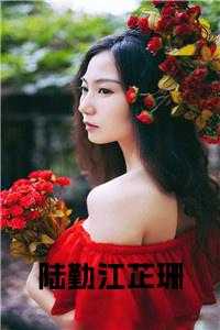 陆勤江芷珊免费阅读