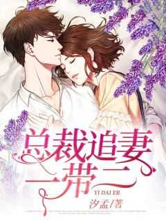 总裁追妻一带二免费阅读