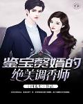 鉴宝龙婿