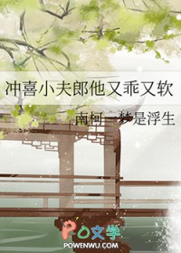 冲喜小夫郎by春汗