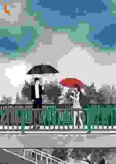 秦雨秦风龙凤胎