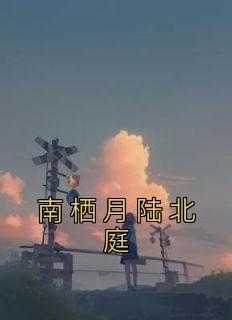 南栖月陆北庭换心脏