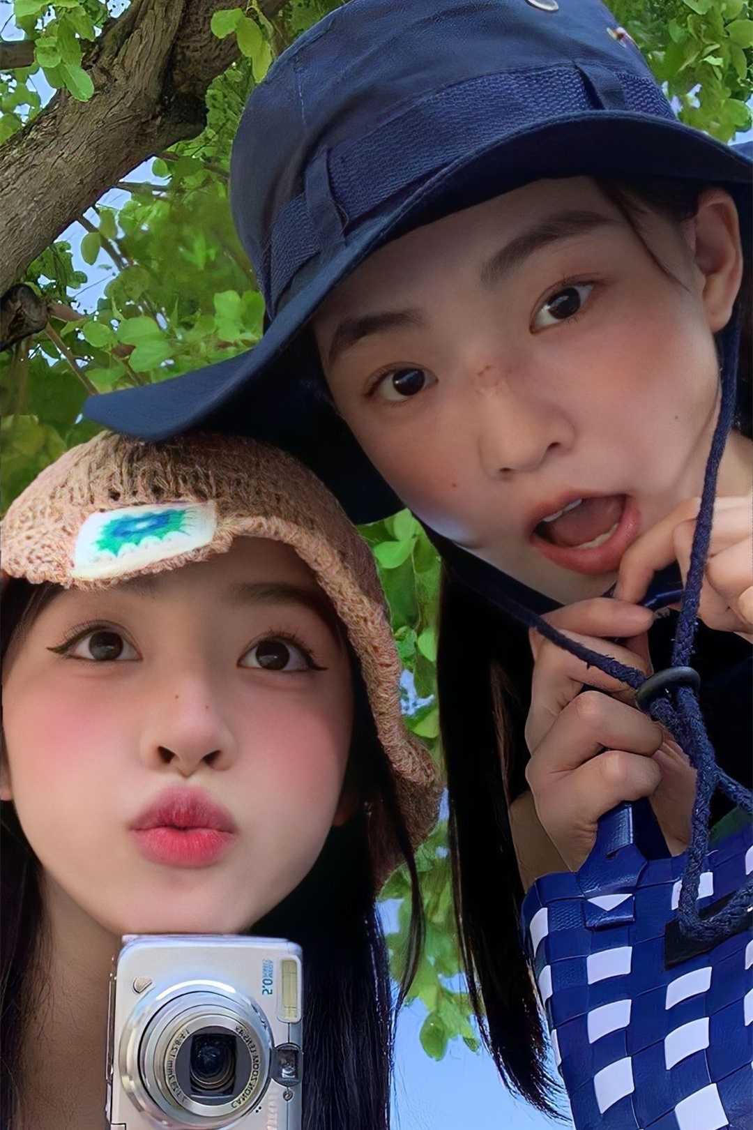 林清鹿
