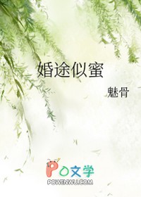 婚途似锦全文免费阅读