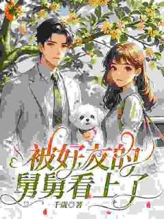 陆小乔周启正闺蜜舅舅