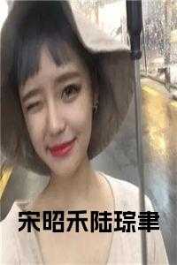 宋昭禾陆琮聿全文本免费阅读
