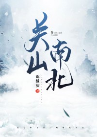 关山南北TXT百度