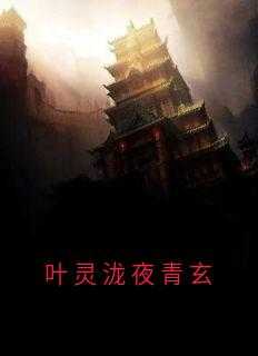 女主角叶灵男主叶玄的