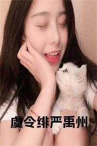 虞窈周令怀免费阅读