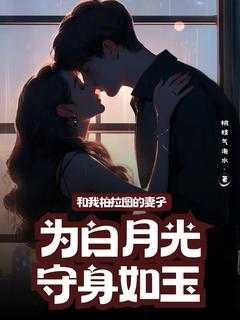 柏拉图之恋是啥