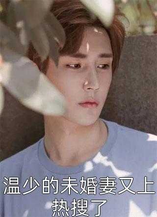 趁虚而入txt剧透