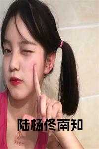 陆杨佟南知岳婧
