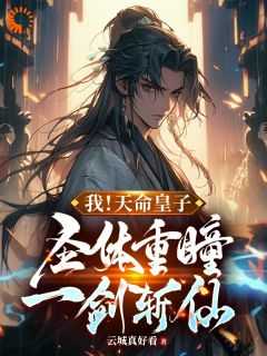 我天命皇子圣体重瞳一剑斩仙章节列表
