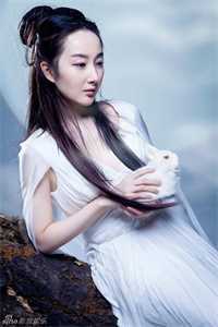 纯绿的结婚证后续
