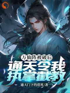 秦枫书名