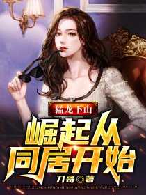 陈流的
