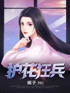 护花狂兵叶苍天TXT